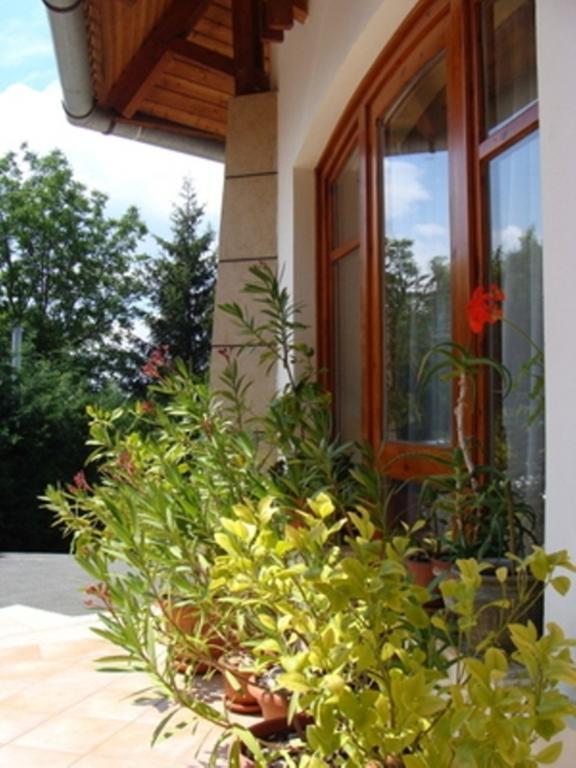 Palatinus Apartmanok Keszthely Rom bilde